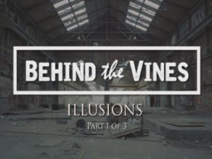 behind-the-vines-illusions-project-thumb