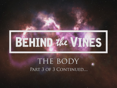 Music Video<br />Behind The Vines<br />‘The Body’